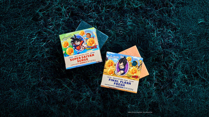 DRAGON BALL Z DUO - US 8757