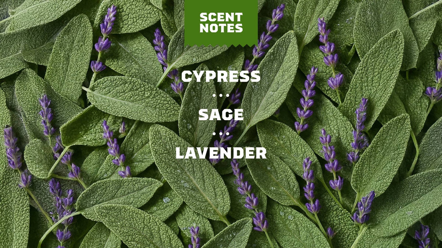 ALPINE SAGE - US 4404