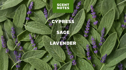 ALPINE SAGE - US 4404