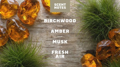 BIRCHWOOD BREEZE INVISIBLE GLIDE DEODORANT - US 2369