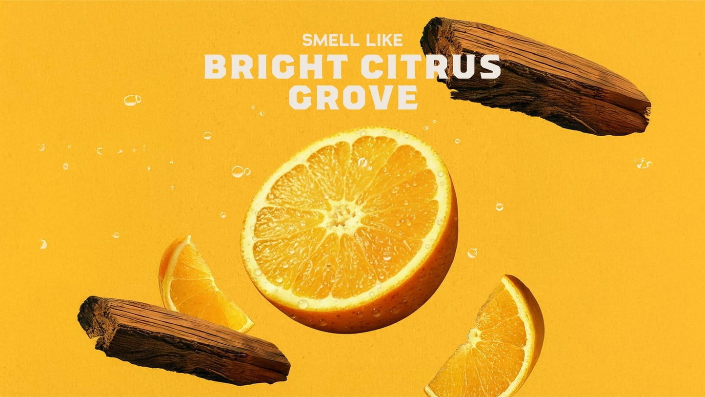 SUMMER CITRUS - US 8147