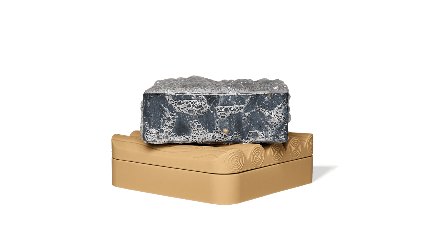 SOAP SAVER - US 7355